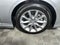 2023 Acura TLX FWD