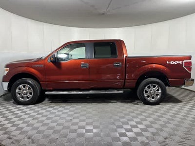 2014 Ford F-150 XLT