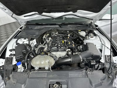 2023 Ford Mustang EcoBoost