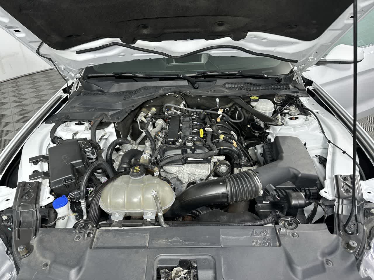 2023 Ford Mustang EcoBoost