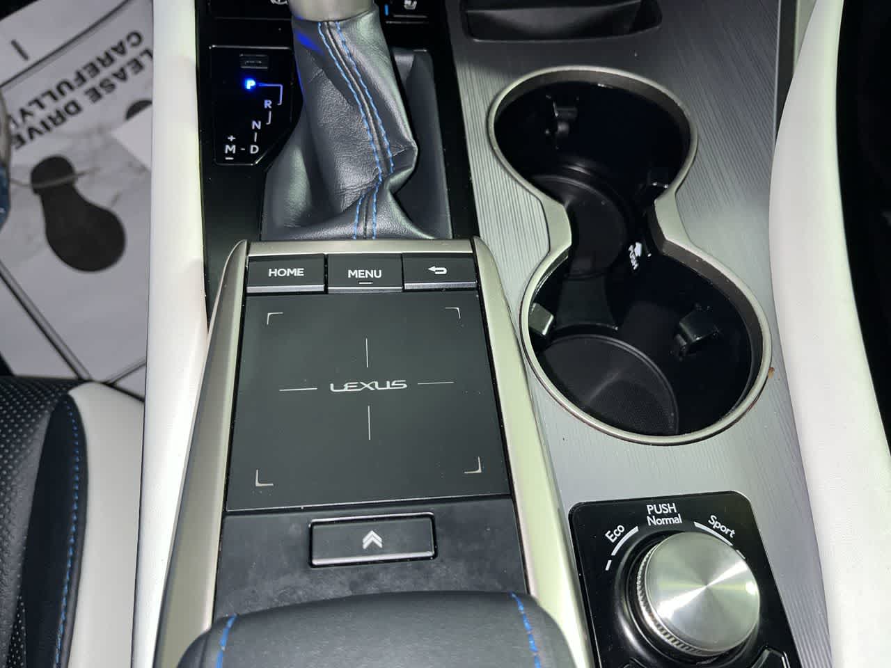 2021 Lexus RX F SPORT Appearance